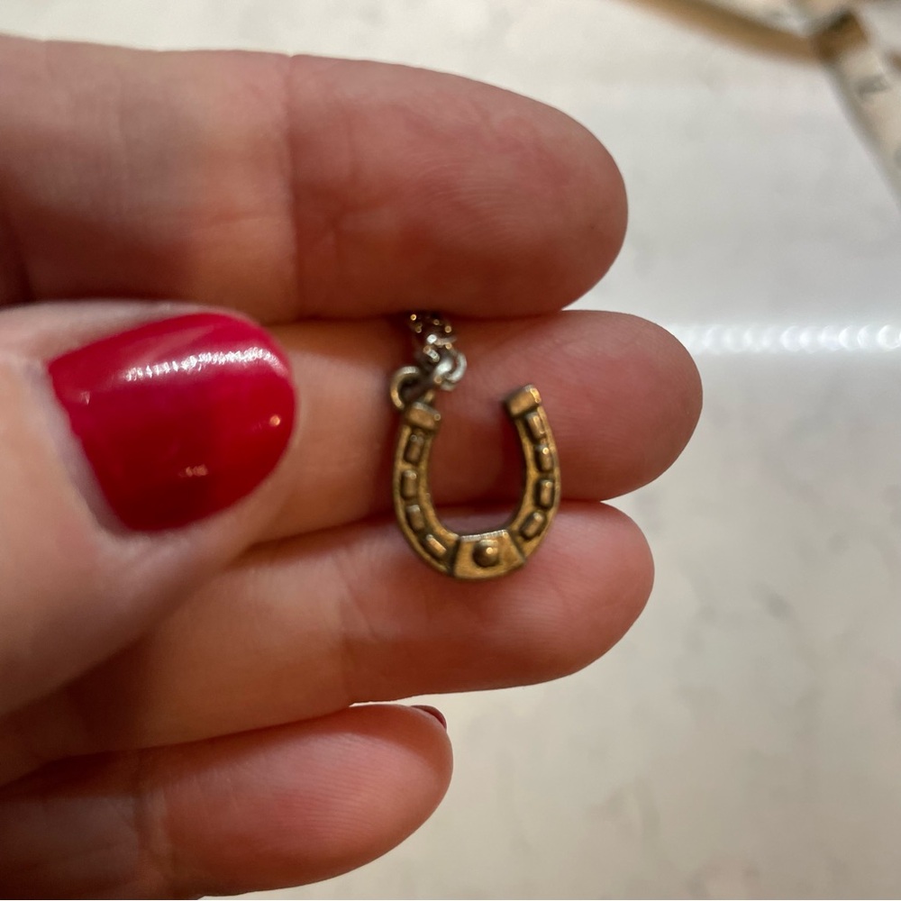 Lucky horseshoe necklace Pendant Necklace
